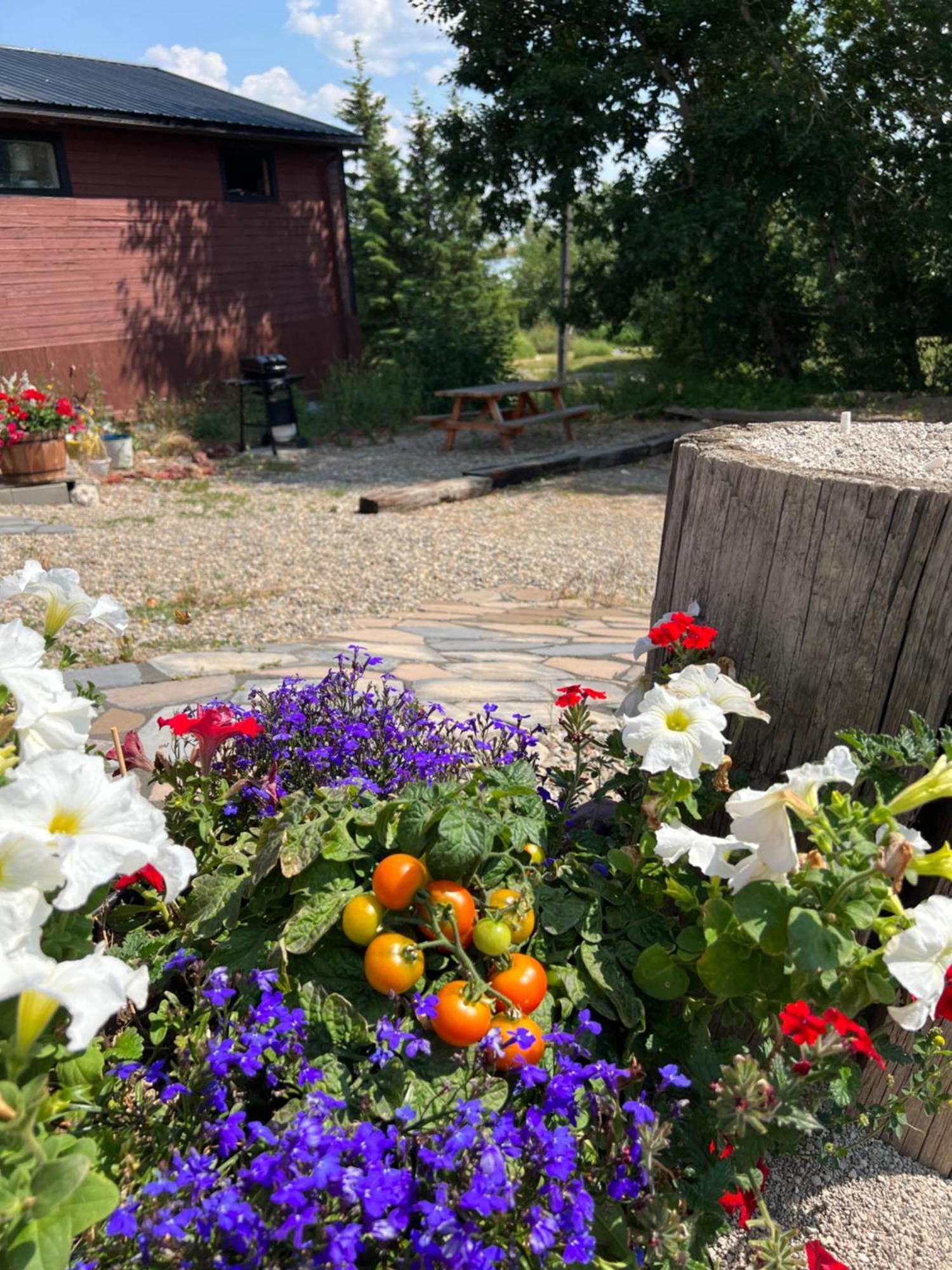 Bear Country Inn And Suites Mountain View Экстерьер фото